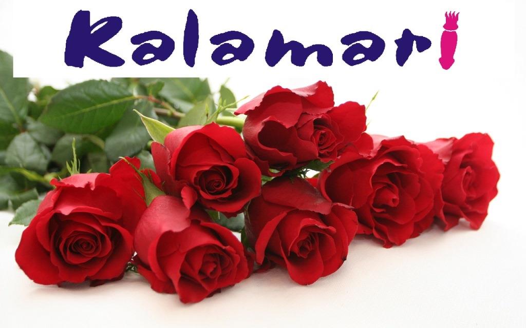 Kalamari V Poletje Z Singlom “Svežih Vrtnic”