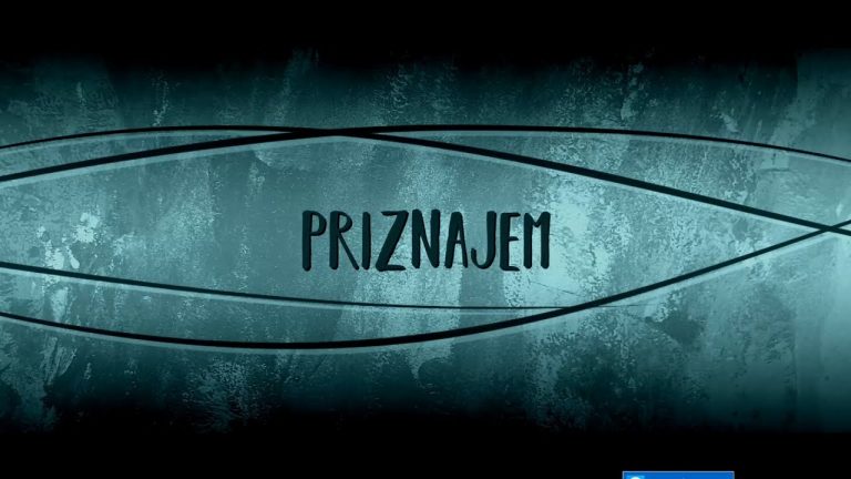 Aleksa Perovic – 2017 – Priznajem